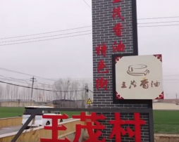 公司宣傳視頻